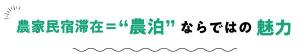 農家民宿滞在＝“農泊”ならではの魅力