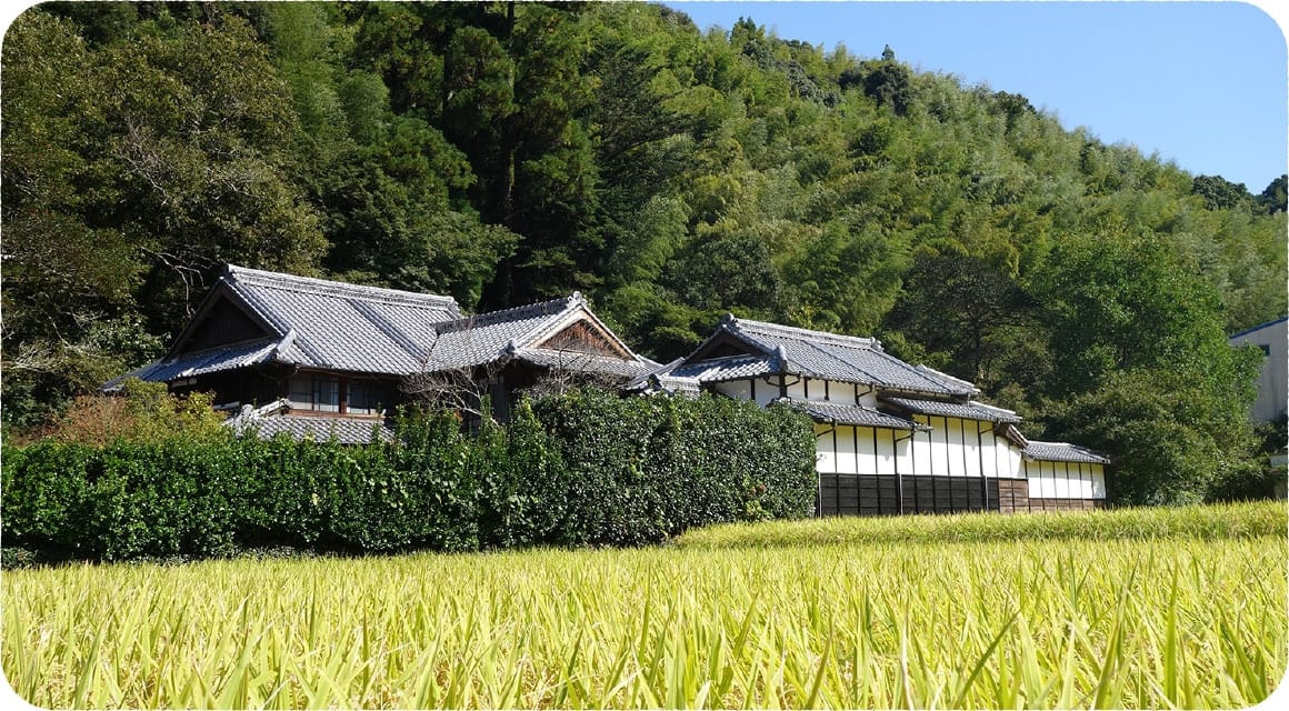 case.01 福岡県八女市立花町 母の膳推進協議会