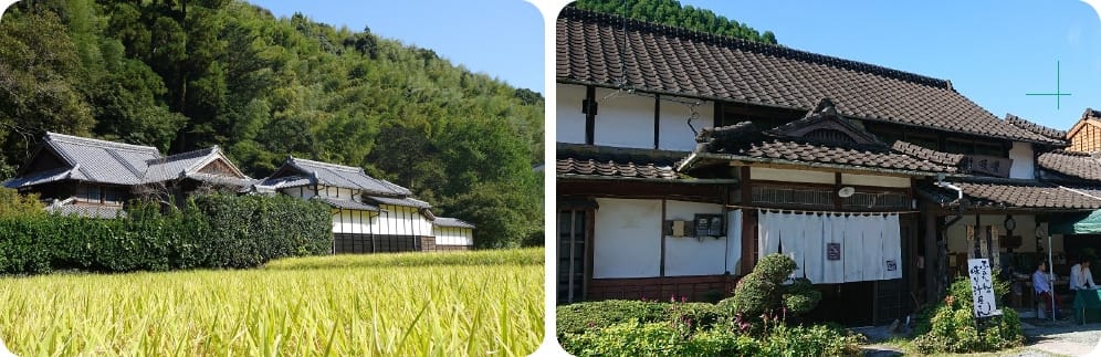 母の膳推進協議会